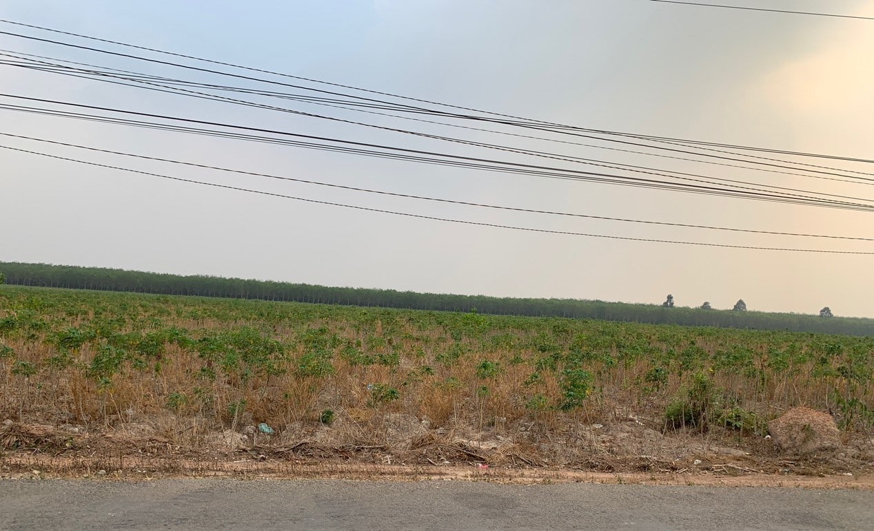 Industrial land for lease in Binh Duong