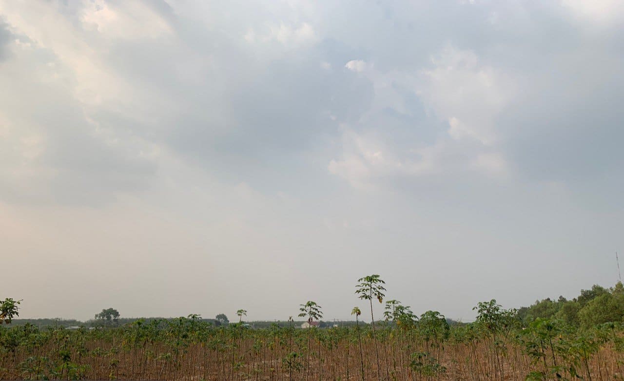 Industrial land for lease in Binh Duong