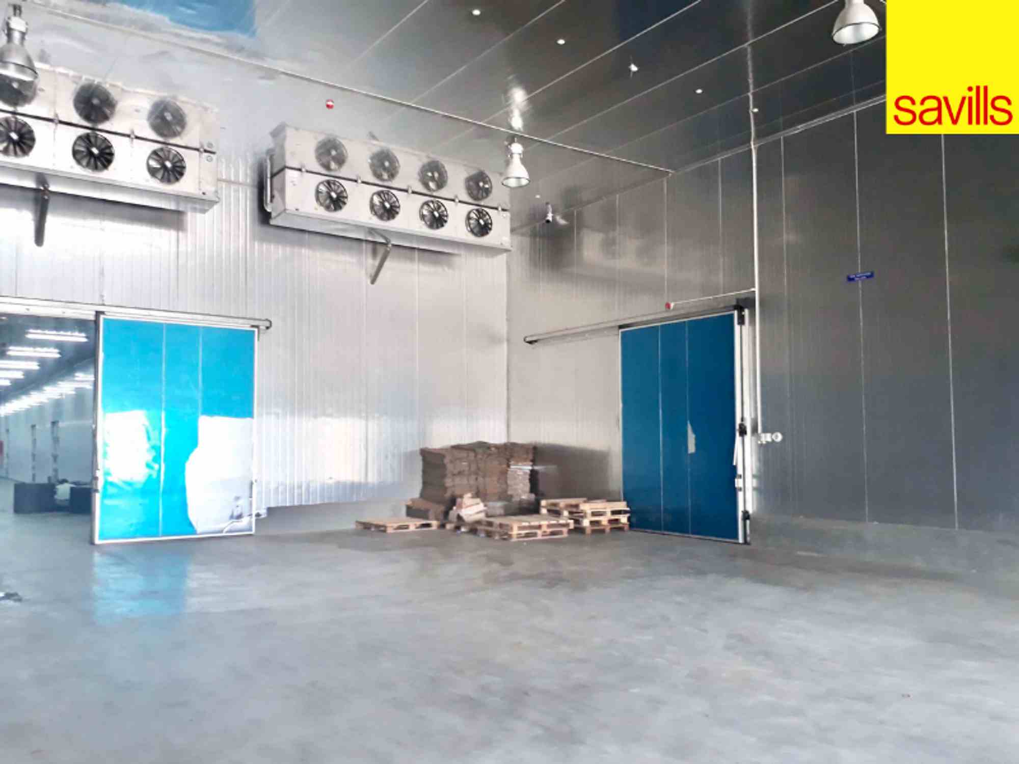 Factory for sale in Tan Phuoc, Tien Giang