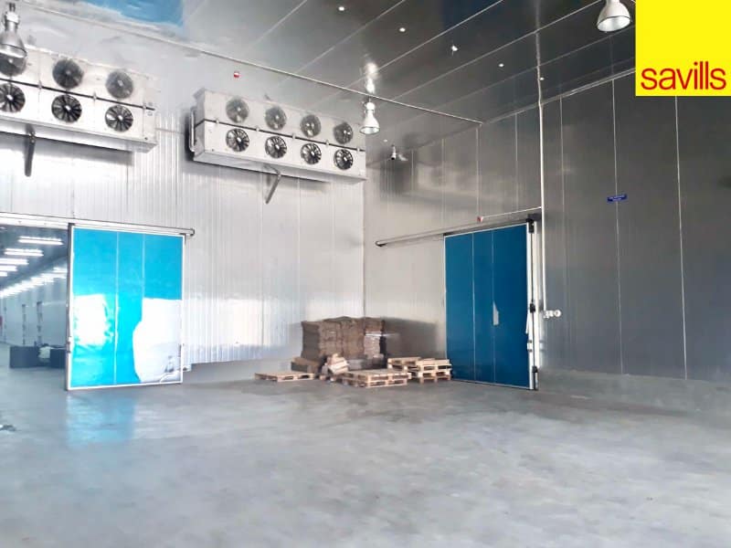 Factory transferred in Tan Phuoc, Tien Giang