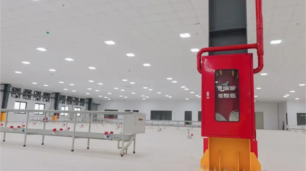 Điều kiện và rủi ro khi cho thuê lại