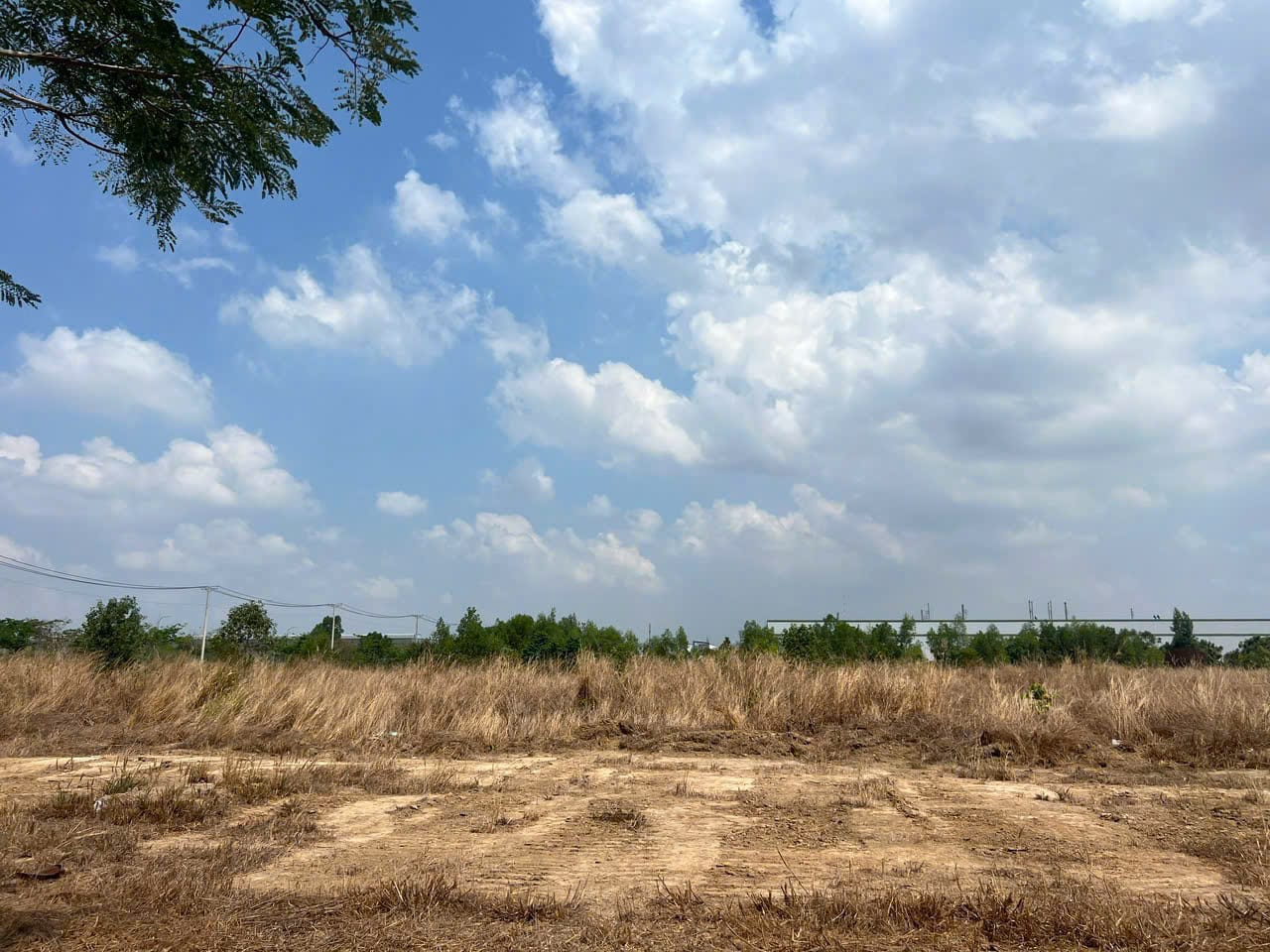SDN_Industrial Land for Sale in Dong Nai