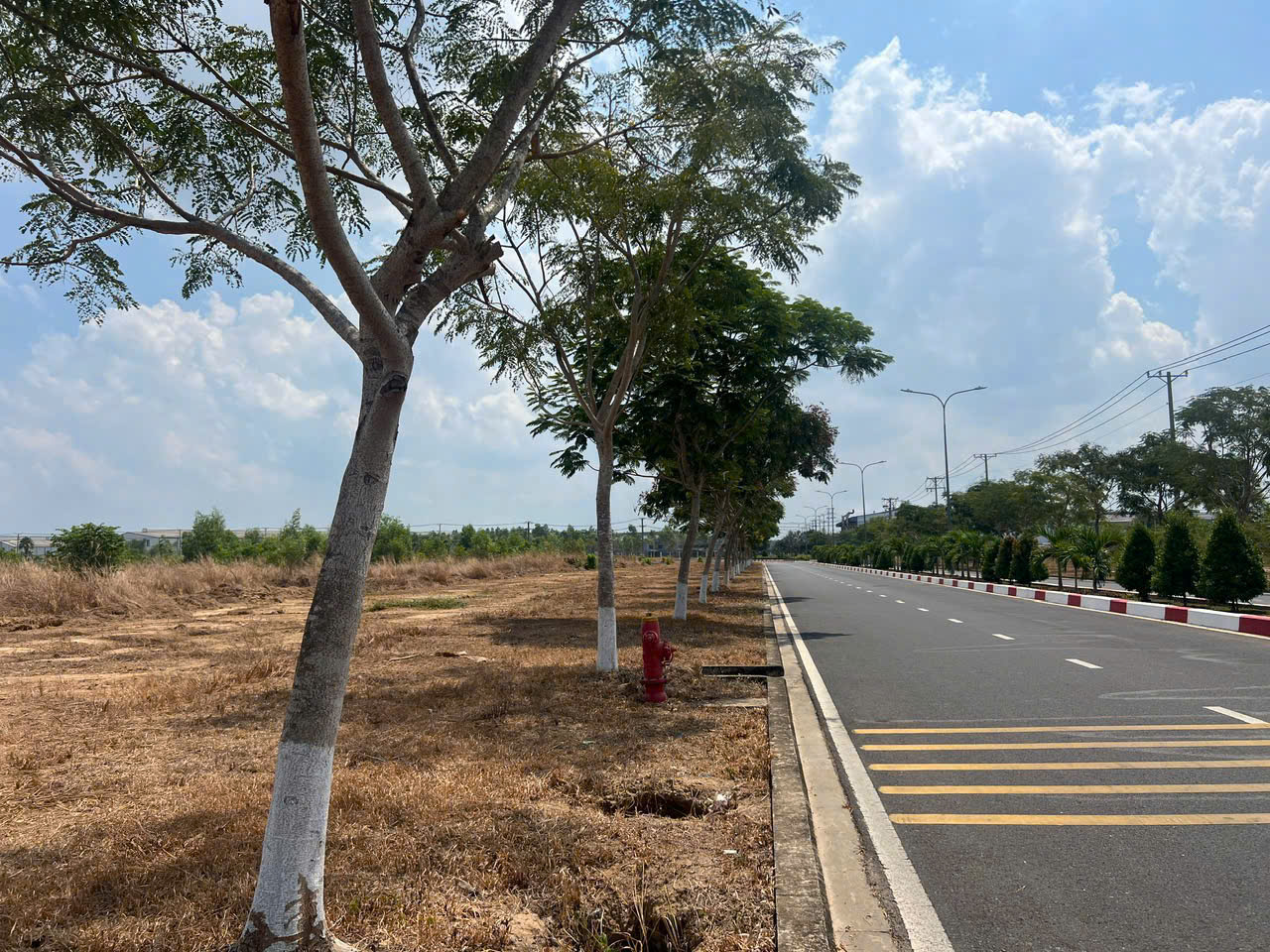 SDN_Industrial Land for Sale in Dong Nai