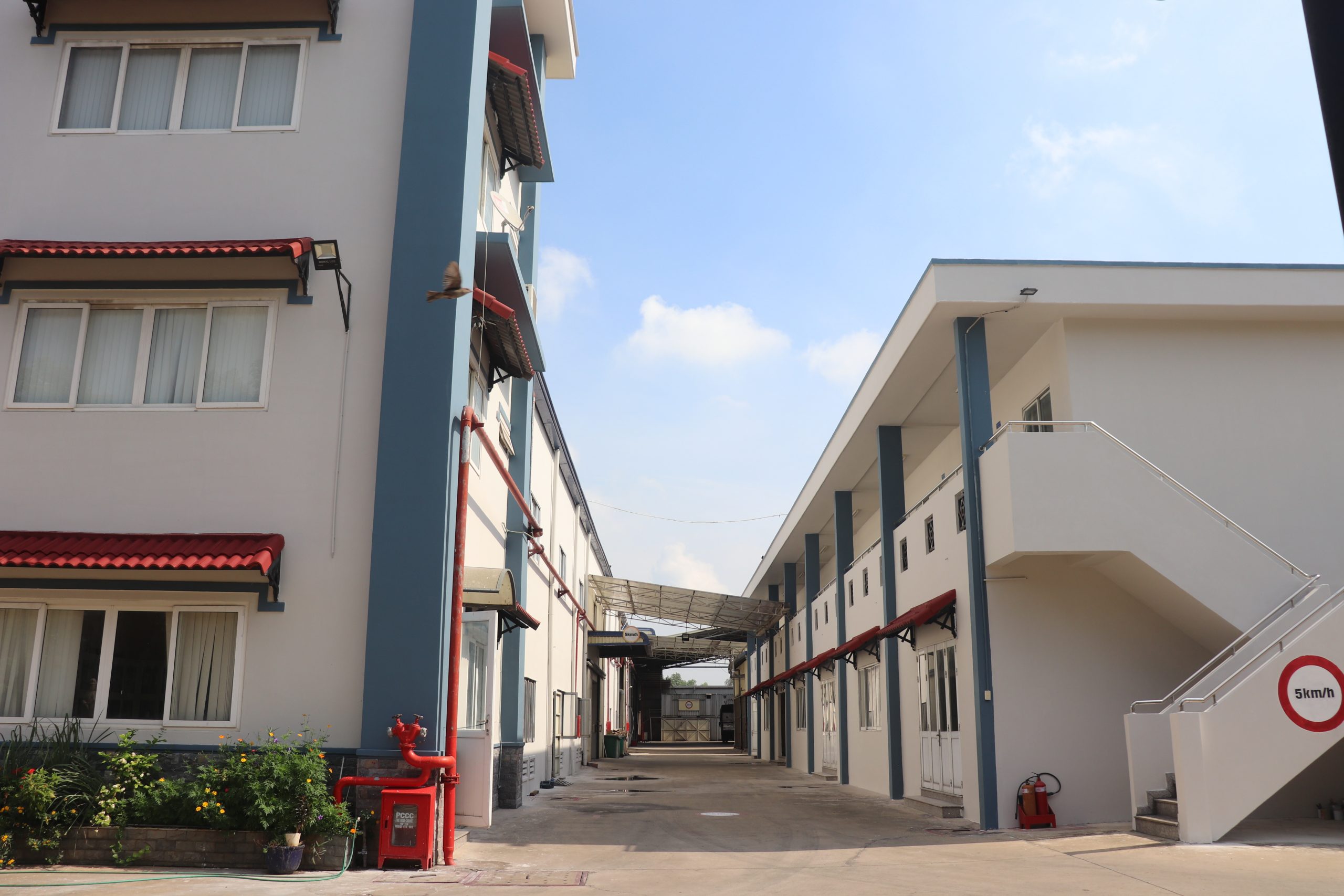 SBD_Ready-to-built Factories for Sale in Binh Duong